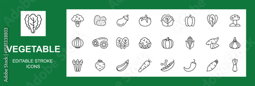 Vegetables line icon set. Vector pictograms of broccoli, potato, onion, garlic, lettuce, spinach, cucumber, pumpkin, turnip, celery, cabbage, mushroom icons, Editable stroke. Vector  illustration.