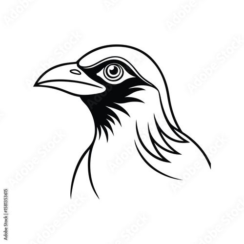 a mynah bird head line art silhouette vector illustration on white background