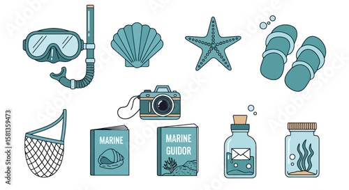 Coastal Collection: Illustrated Beach Finds and Gear