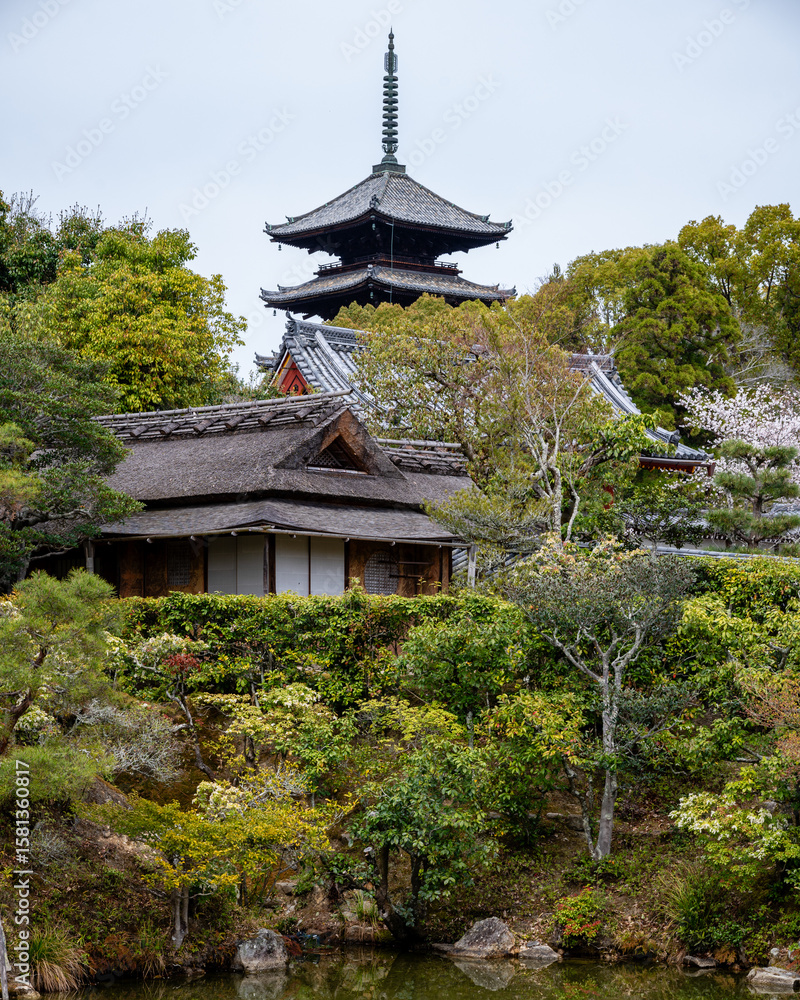 Fototapeta premium Ninna-ji 仁和寺