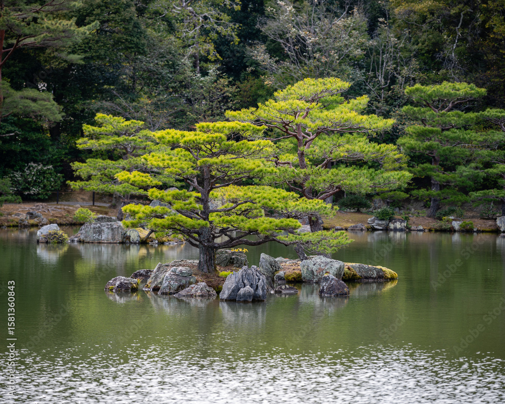 Naklejka premium Japonese garden...