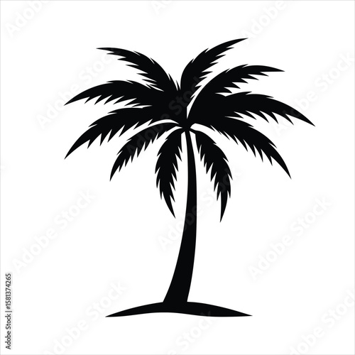 palm tree silhouette