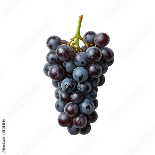 Fresh bunch of dark blue concord grapes isolated on transparent background