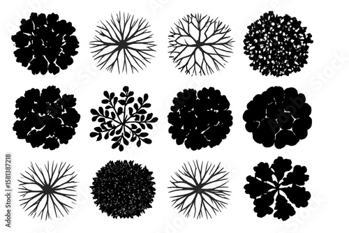 Collection of Tree Top View Silhouettes, Black Floral and Abstract Tree Canopy Shapes, Nature Design Elements for Graphic Artists, Landscape, Environment, and Eco Projects