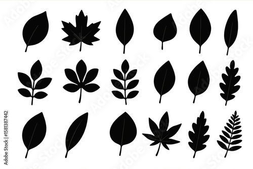 Leaf Silhouettes Vector Collection, Diverse Botanical Leaf Shapes, Nature Elements, Eco-Friendly Design, Botanical Illustration, Educational Set, Plant Identification, Natural Decor