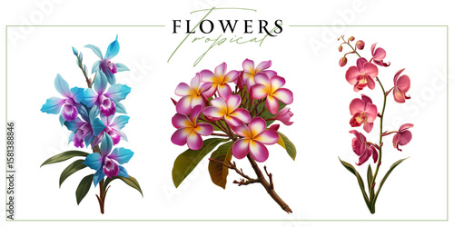 Colorful tropical flowers isolated on a white background. Vintage painting style illustration.