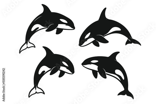 Orca killer whale silhouette vector set. Dynamic black and white graphic illustration of marine life. Ocean wildlife animal icon collection for logo, tattoo, or tribal design.