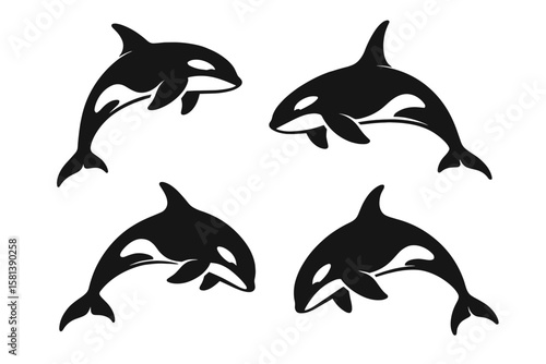 Orca killer whale vector silhouette set. Collection of black and white marine animal icons. Isolated ocean wildlife graphic element. Jumping sea mammal symbol for logo design.