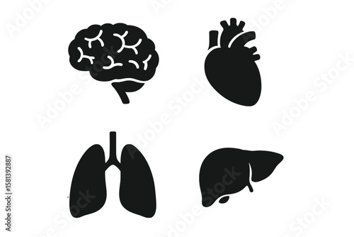 Human organ anatomy icon set vector glyph pictograms of brain, heart, lungs, liver, stomach, intestine, kidney for medical, healthcare, biology, health concepts in black