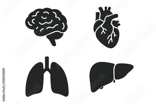 Human organ anatomy icon set of 4, vector glyph pictograms of brain, heart, lungs, liver, stomach, intestine, kidney, medical healthcare and biology concept, black