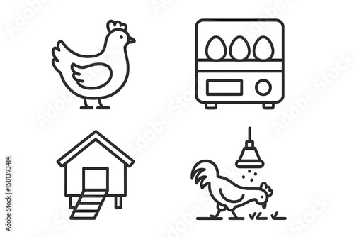 Poultry farming line icon set of 4, vector pictograms of chicken, eggs incubator, henhouse, feeding equipment, free-range rooster, agriculture, organic farm, thin linear style