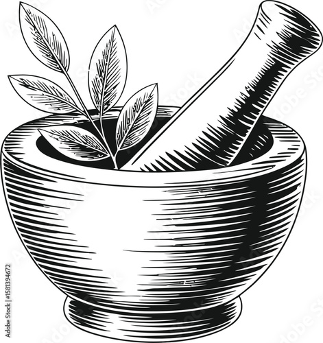 Vintage black and white illustration of a mortar and pestle with leaves