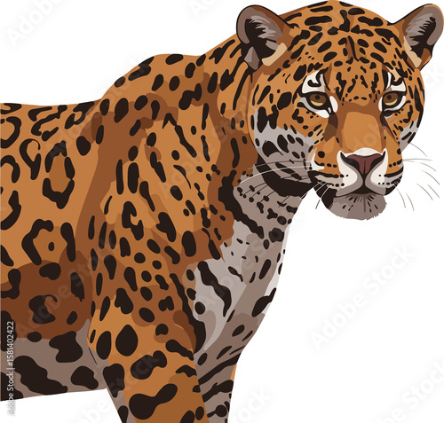 Close-Up of Jaguar (Panthera onca) Face: Vector Illustration of a Powerful Feline with Piercing Eyes and Spotted Coat