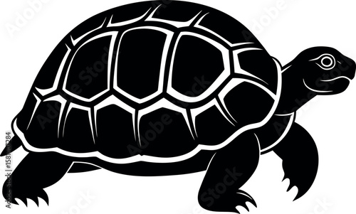 turtle silhouette vector illustration