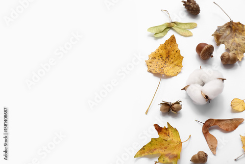 Autumn leaves with acorns a...