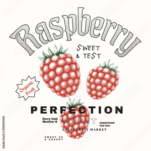 Vintage Raspberry t shirt design. women girls tops for fruit print. girls shirt artwork. seasonal summer fruit design. hand drawn vector graphic. Text effects typography lettering add this art.