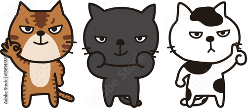 猫
