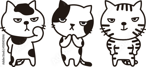 猫
