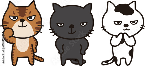猫