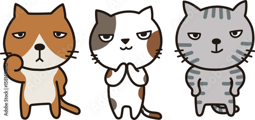 猫