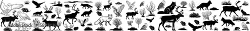 Silhuetas da Tundra Black-and-White Images of Northern Inhabitants. Animals and Plants of the Tundra: A Graphic Series.