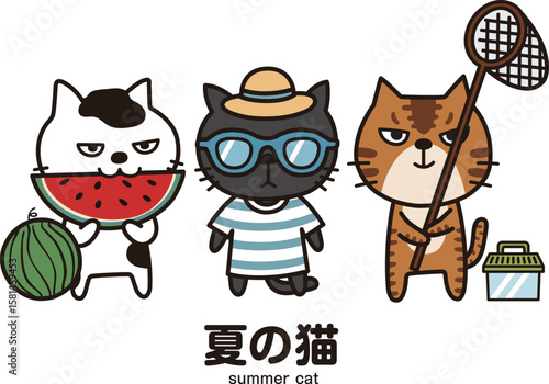 夏の猫