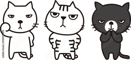 猫