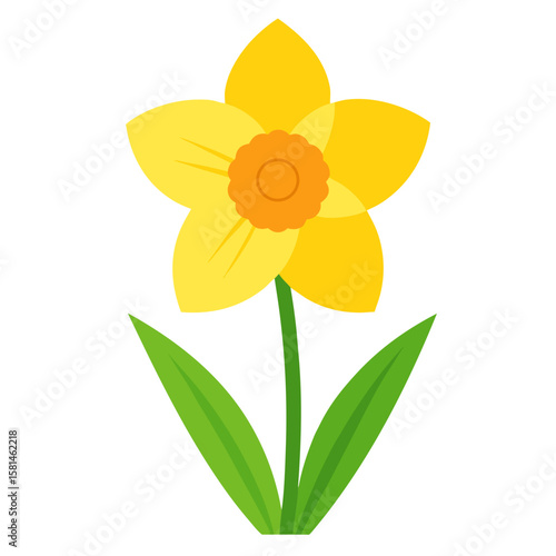 yellow daffodil isolated on white