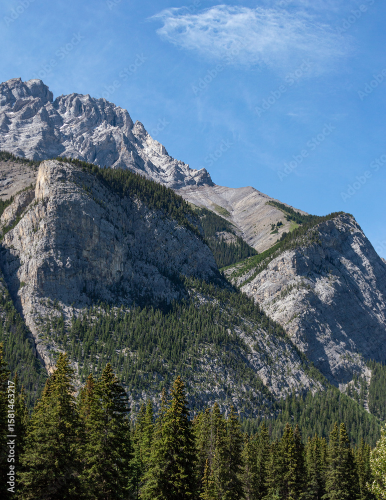 Fototapeta premium Banff National Park: Towering Mountain with Pines at Base and Mid‑Slope. Serene Pine-Lined Mountain Vista in Alberta’s Banff National Park