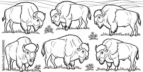 Collection of six stylized black and white illustrations of bison in a grassy field
