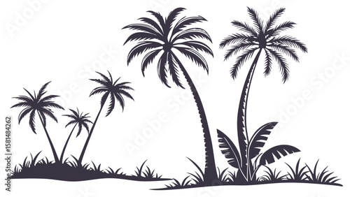 Silhouette of several palm trees and tropical foliage on a white background representing a serene beach scene