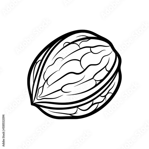 Line art walnut with shell and kernels isolated on black background for food and cooking