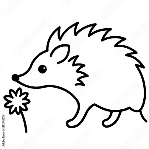 hedgehog sniffing flower on white background