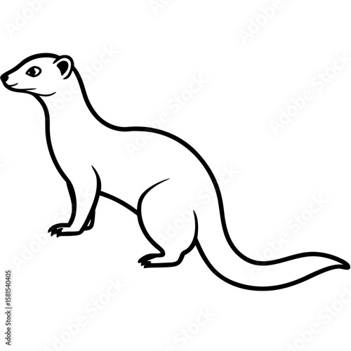 mongoose standing alert on white background