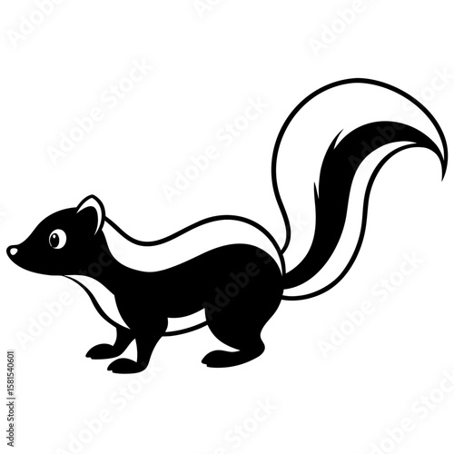 skunk raising tail in warning on white background