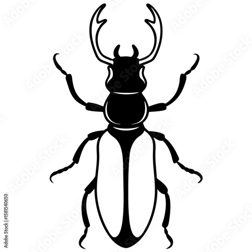 stag beetle with large mandibles on white background