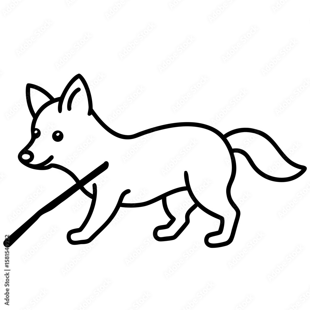 Fototapeta premium wolf pup playing with stick on white background