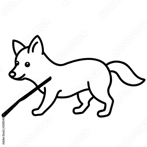 wolf pup playing with stick on white background