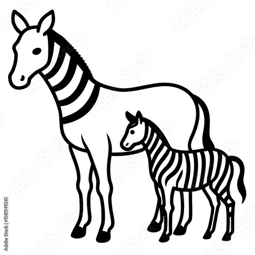 zebra foal standing beside parent on white background