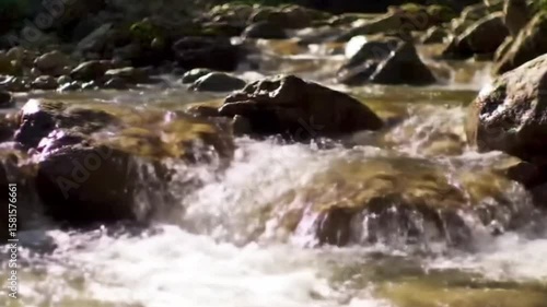Clear River Flowing over Natural Rocks – Cinematic Forest Stream Footage
