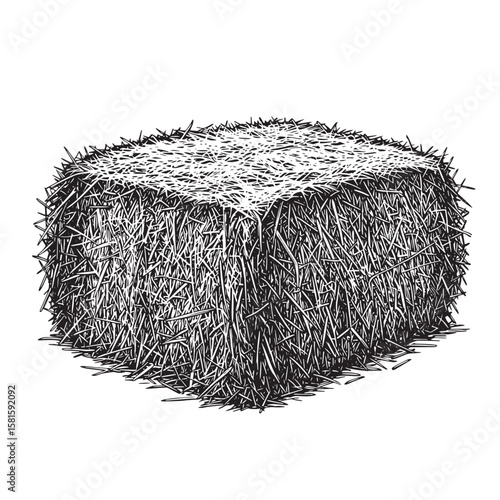 Detailed engraved illustration of a rectangular hay bale isolated on white background