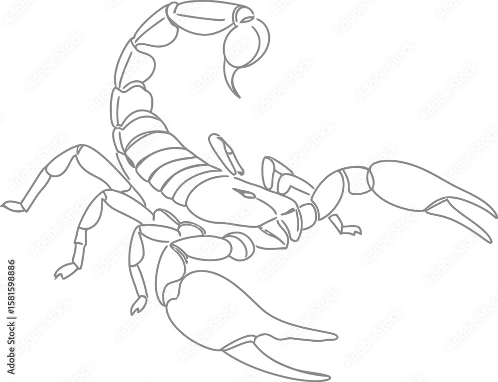 Line art illustration of scorpion Line art illustration of scorpion