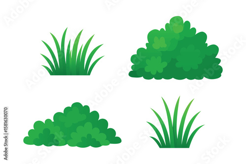 bush and grass illustration