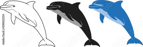 Three dolphin illustrations show variations in line, silhouette, and color