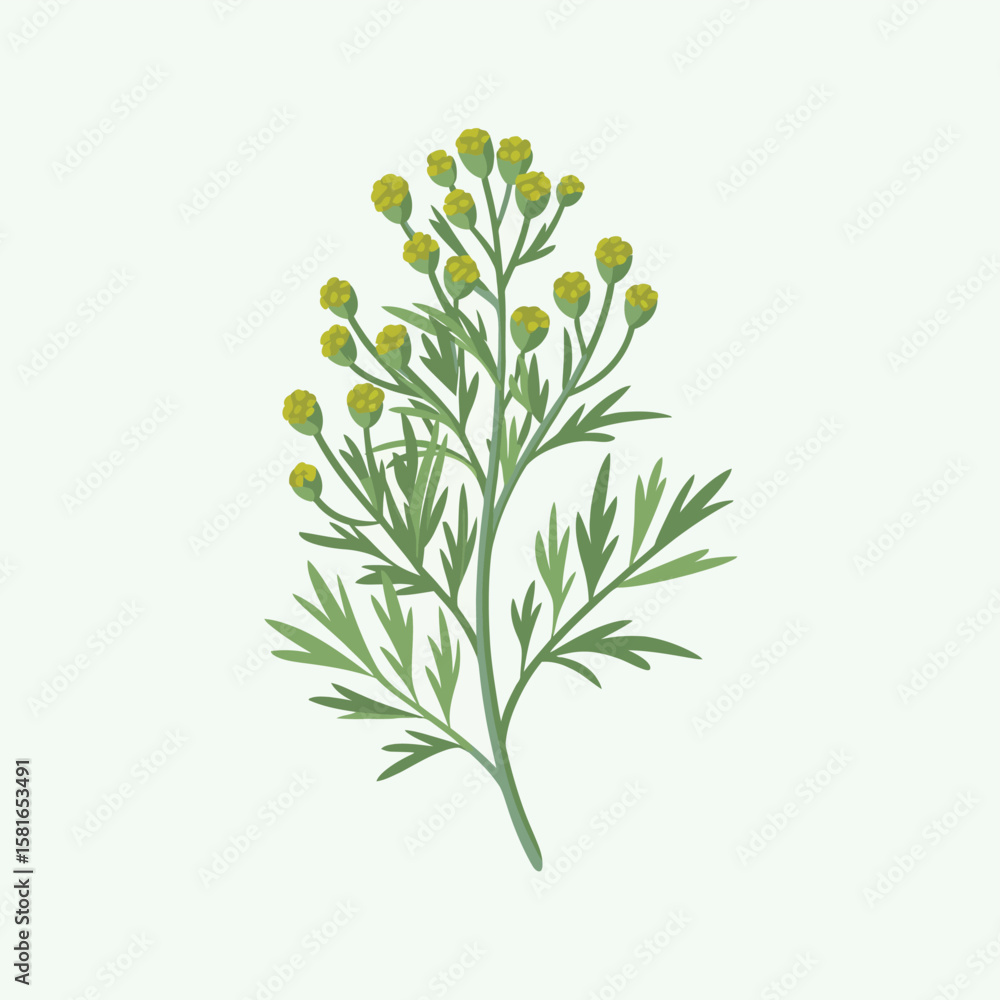 Fototapeta premium Illustration of a green plant with small yellow flower buds on a light green background