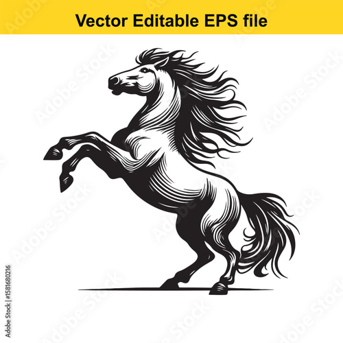 A powerful black and white illustration of a rearing horse