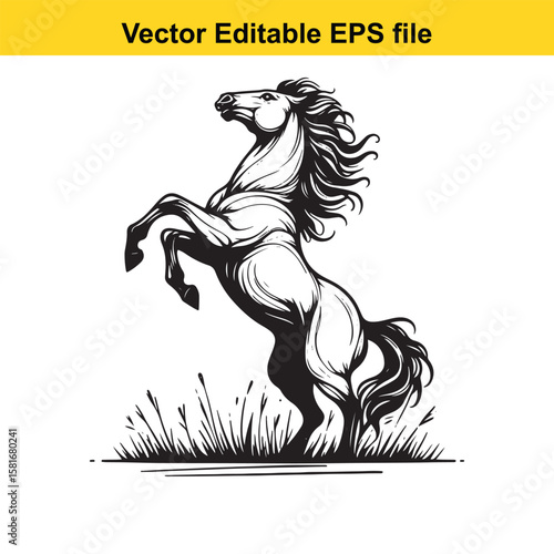 A powerful black and white illustration of a rearing horse