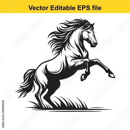 A powerful black and white illustration of a rearing horse