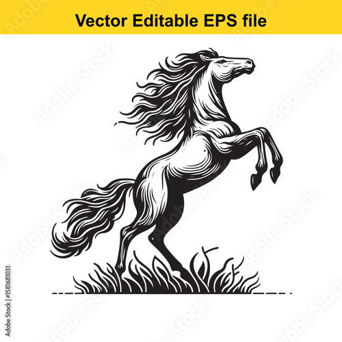 A powerful horse rears up in a field of grass