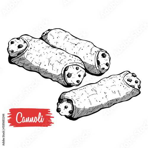hand drawing cannoli vector illustration, tasty sweet dessert 